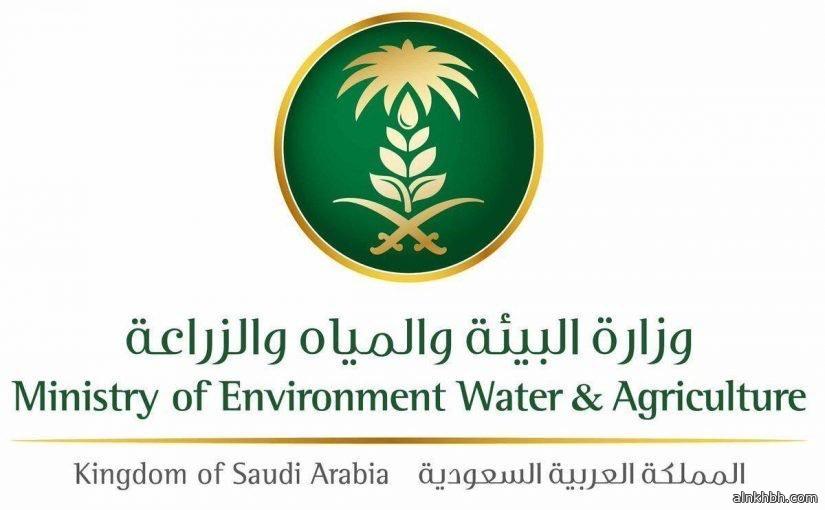 البيئة تطلق خدمتي إذن الدخول والخروج للهجن المشاركة في المسابقات والمهرجانات عبر انعام بلس