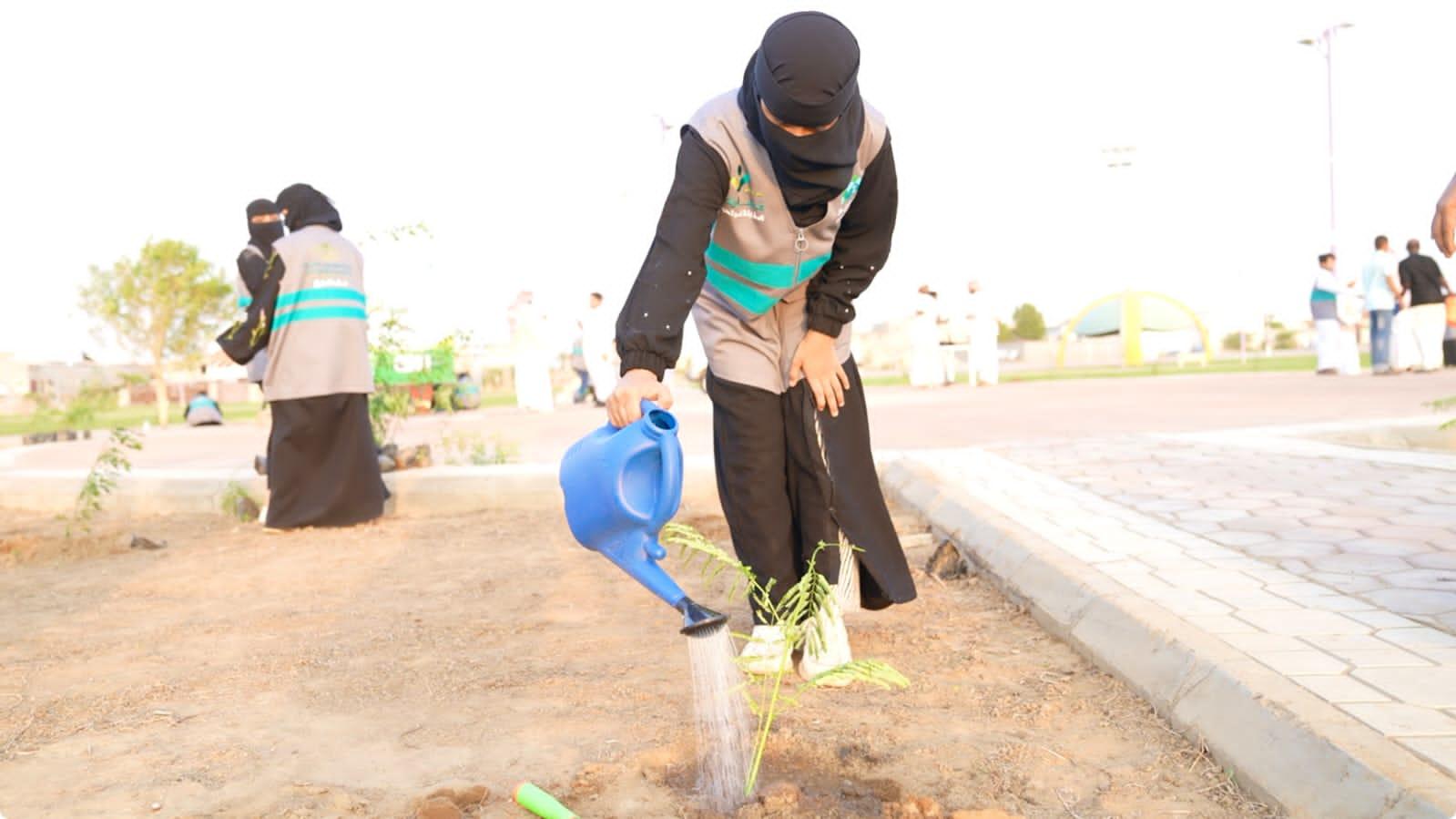 بلدية محافظة صبيا تنفذ مبادرة للتشجير تحت شعار صبيا الخضراء