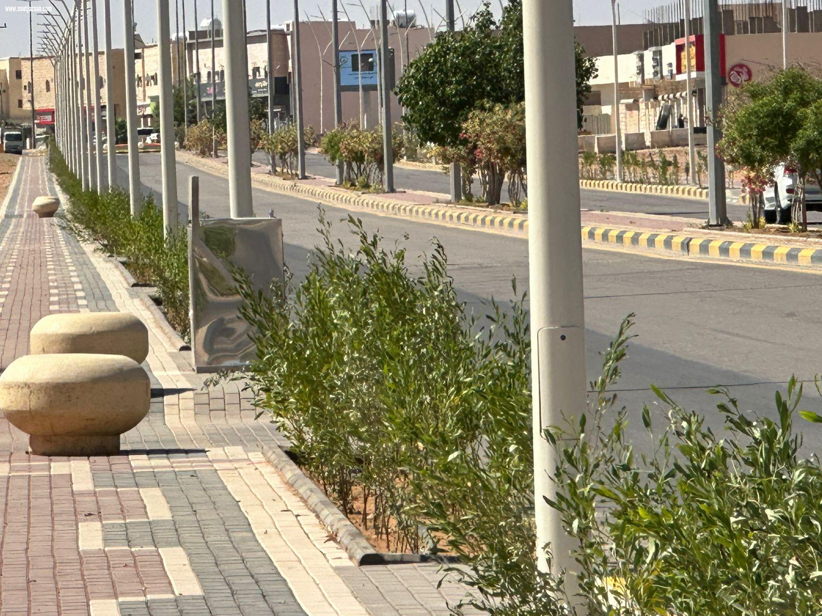 بلدية محافظة صوير تنفذ أعمال الموسم الثاني عشر لمبادرة الجوف واحة خضراء