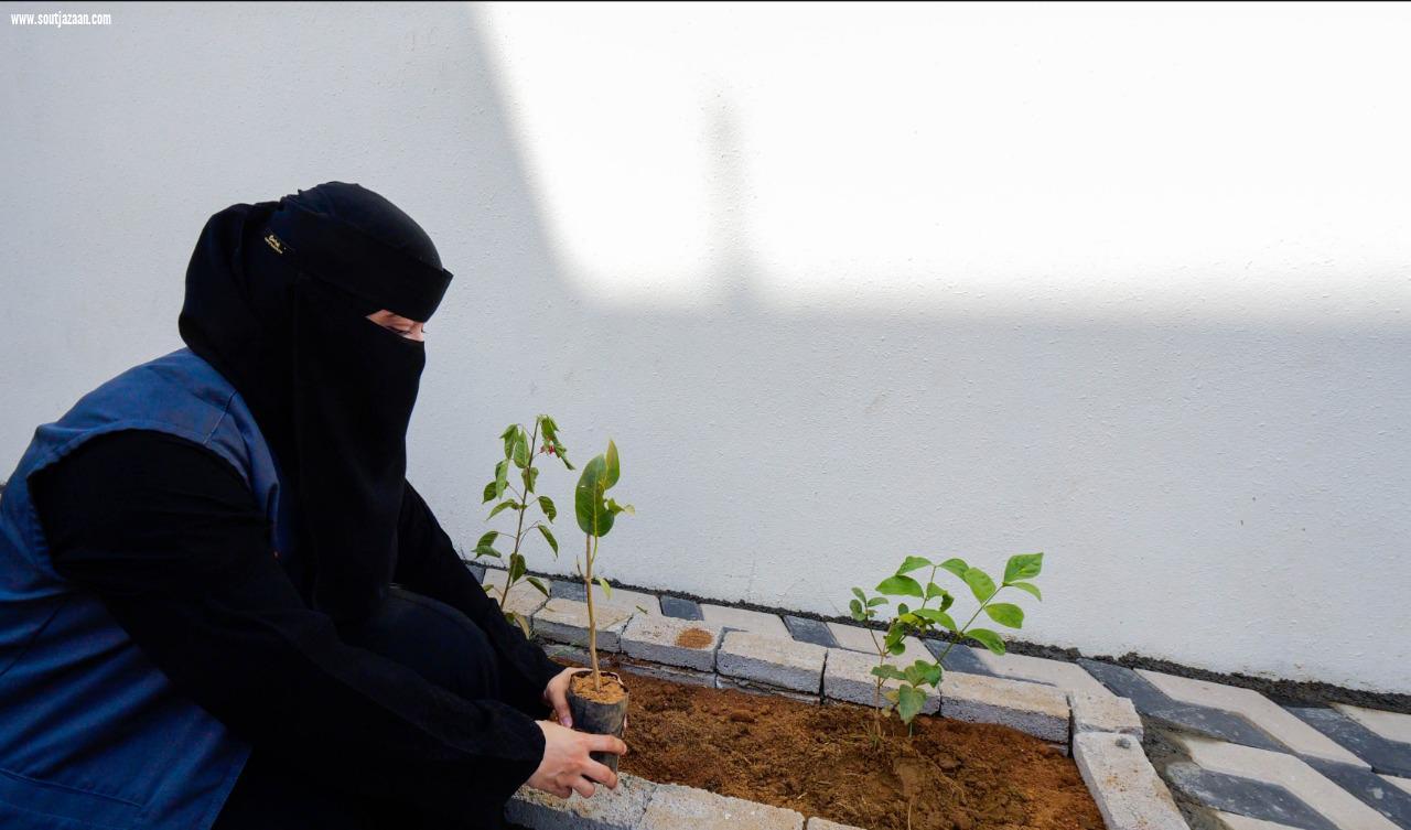 وكيل محافظة أبوعريش يدشن فعاليات أسبوع البيئة بالمحافظة