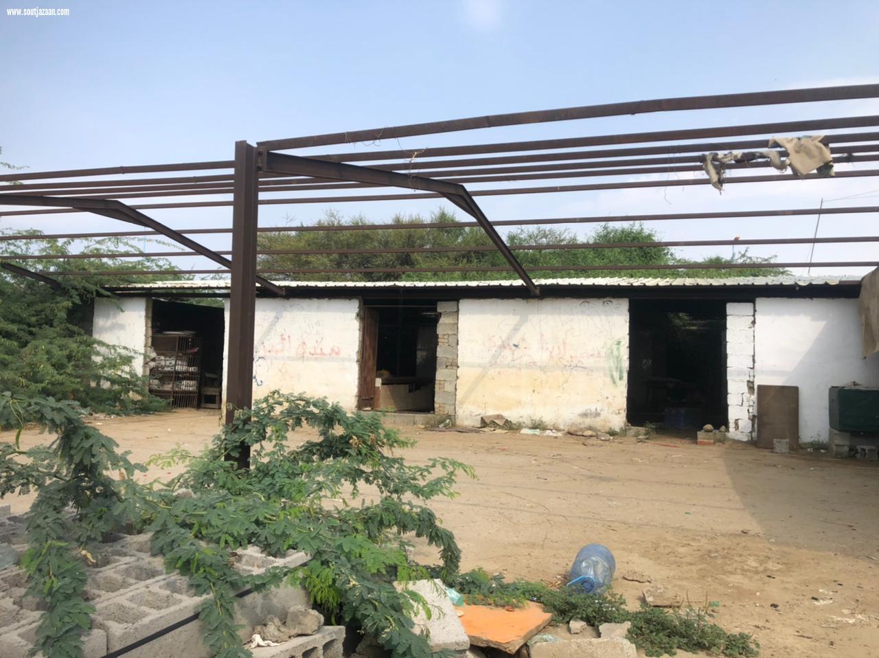 بلديه الشقيق.. نسعى لتطوير سوق السمك شكلا ومضمونا 