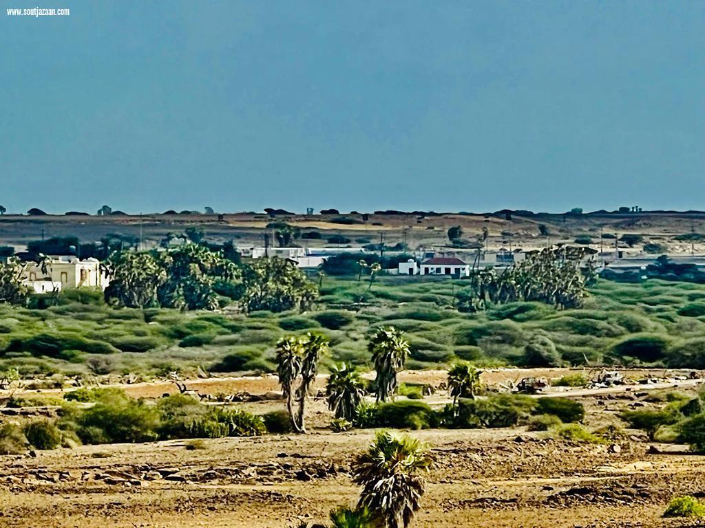 سقيد فرسان يجذب السياح