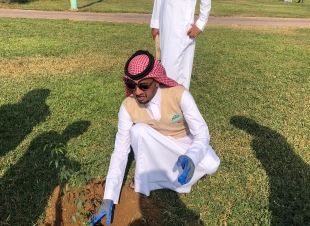 بلدية المسارحه وتزامنا مع السعودية الخضراء تزرع اكثر من ١٠٠ شتله 