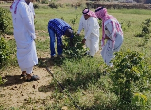 فرع البيئة بجازان ينفذ برنامج إرشادي في مزارع البُن بمحافظة الريث 