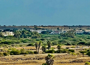 سقيد فرسان يجذب السياح