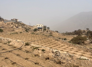 فيما تم اختيار وادي لجب كأول حديقة جيولوجية ضمن 13 موقعاً بالمملكة وضمن الحدائق الجيولوجية العالمية | سمو أمير منطقة جازان يطلع على المرحلة الثانية من دراسة تصميم وتطوير وادي لجب